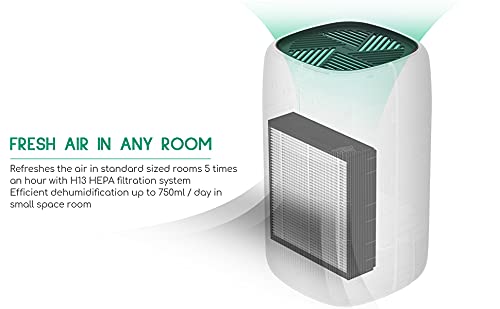 Afloia True H13 HEPA Filter for Q10 Air Purifier and Dehumidifier 2-in-1 (Hepa air Purifier Q10 Filter Replacement) - Thumbnail 6