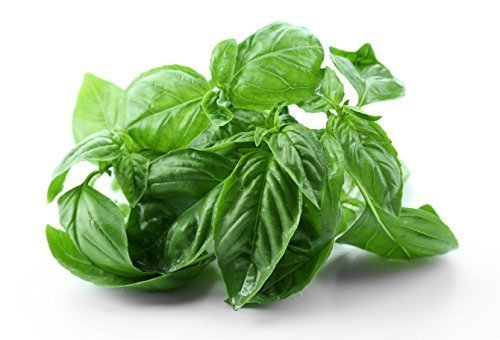 GREEN MOUNTAIN HARVEST Basil, 0.75 OZ