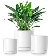 vancasso Ceramic Plant Pots, 3 Piece Planters for Indoor Plants, 4.25+5.25+6.25 Inch Flower Pots ...