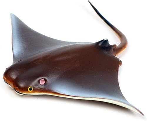 VACCU C̐̂LbYvX`bNC̓tBMAIȊCmT^RfFmߋ