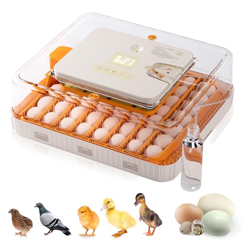 Besly 56 Egg Incubator with Automatic Egg Turning and Humidity Control, 360° Viewing, Chicken Incubator for Hatching Duck, Goose, Turkey, Quail, and Parrot Eggs, Egg Candler Ideal for Farm, Home