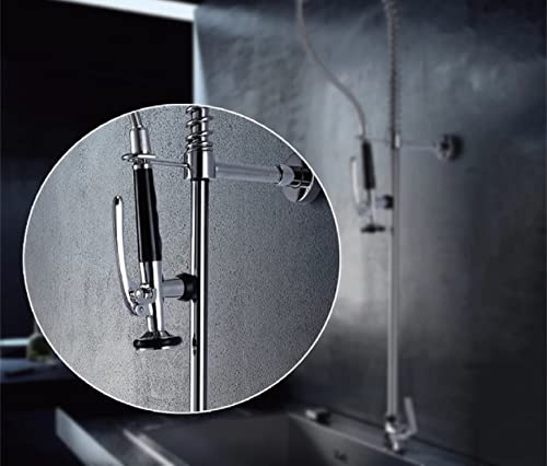 Premium Hand Shower Kitchen Tap Gastro Replacement Head G1/2 Inch Dish Rinser, Solid Shower Head - Image 4
