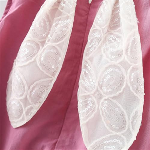 Baby Girl Summer New Dress Sweet Sleeveless Round Neck Chest Little Rabbit Accessories Back Long Ears Princess Dress4