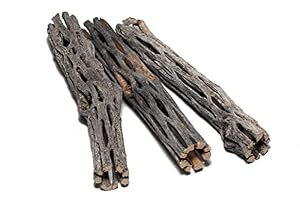 SoShrimp Cholla Holz 3 Stück 5-6 Zoll