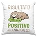 Cuscino Risultato Positivo alla Stanchezza, Idea Regalo di Compleanno Originale, Frase Divertente, Arredamento Casa, Arredo Divano Letto - con Imbottitura (40_x_40_cm)