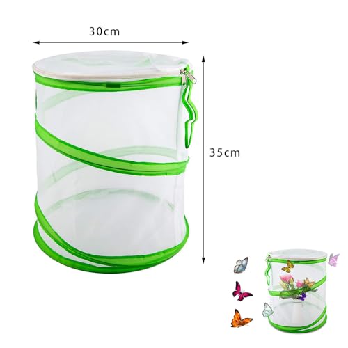 Insekt und Schmetterling Habitat Käfig Tragbar Faltbar Schmetterlingslebensraum Zusammenklappbar Insekten Netzkäfig für Insekten Schmetterlinge Beobachtung (30 x 35 cm, Grün)