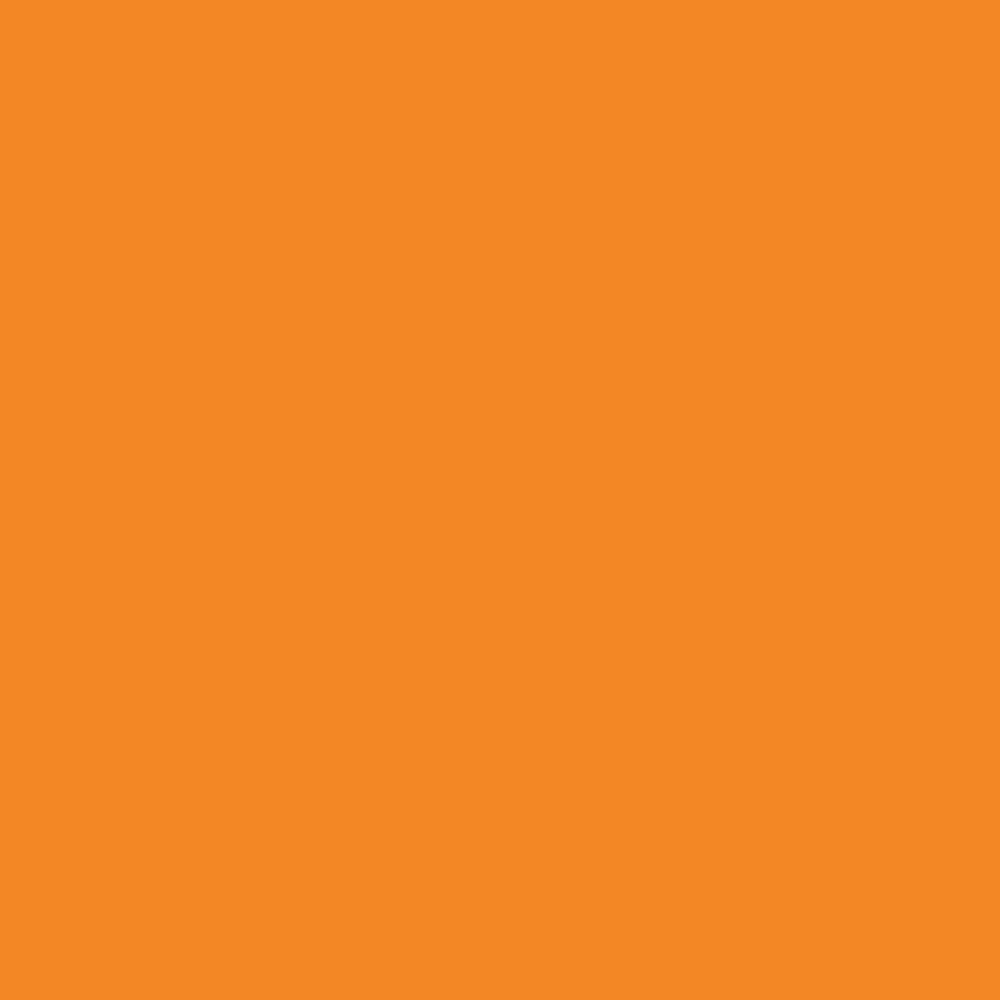 Inapa farbiges Druckerpapier, buntes Papier tecno Colors: 80 g/m², A4, 2.500 Blatt (5x500), orange
