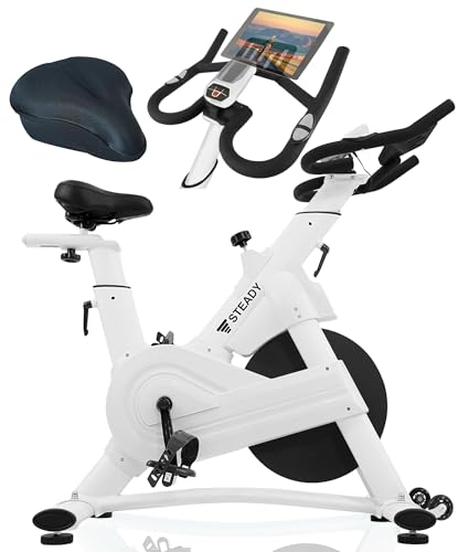 STEADY スピンバイク Pro【ハイエンドモデル/Zwift/アプリ連動/静音/組立簡単】エアロバイク フィットネスバイク 家庭用 ST142