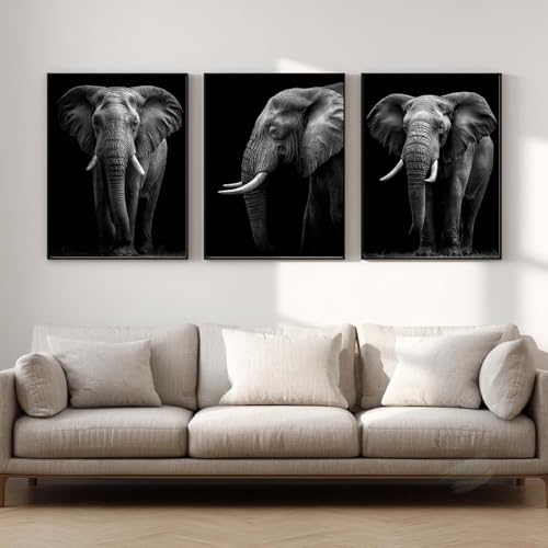 Affiche éléphant noir et blanc décoration murale salon et chambre triptyque 60x90