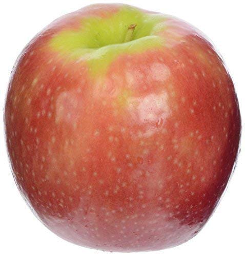 Organic Lady Alice Apple