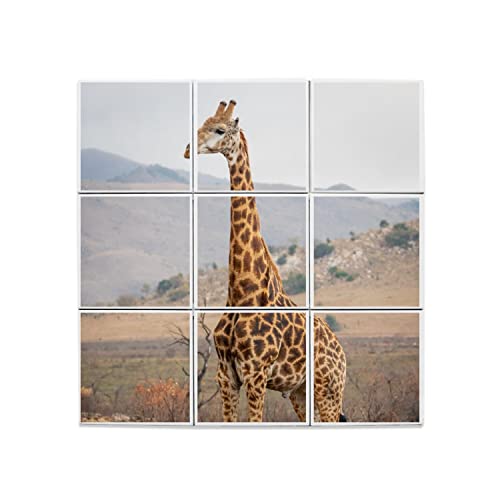 Carreaux céramique girafe décoratifs 20x20 salon ambiance Afrique
