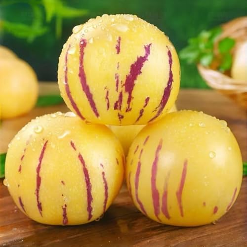 25pcs Pepino Melon Seeds Rare Sweet Pepino Fruit Plant High Germination Fast-Growing Edible Garden Variety Ideal for Containers & Outdoor Planting