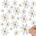 36 St&uuml;ck G&auml;nsebl&uuml;mchen Flicken Zum Aufb&uuml;geln B&uuml;gelflicken Blumen Patches Zum Aufb&uuml;geln B&uuml;gelbilder F&uuml;r Textilien Aufb&uuml;gel Aufn&auml;her Applikation F&uuml;r Kleidung Jacken Jeans Schuhe Und Rucks&auml;cke（3 Gr&ouml;&szlig;en）
