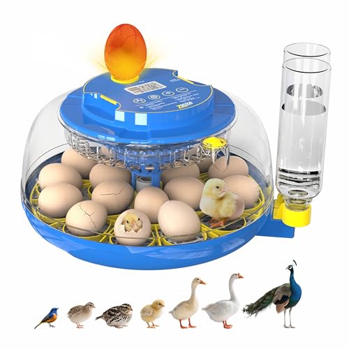 18 Egg Incubators for Hatching Eggs - Automatic Turner, Dual Trays, Digital Thermostat & Humidity Control, 360° View Window, Built-in Egg Candler, Hatches Chicken, Duck, Turkey, Quail, Peacock Eggs