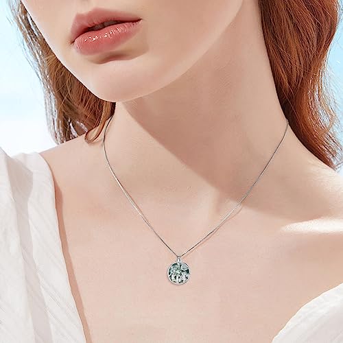 WINNICACA Urn Necklace for Ashes Sterling Silver Abalone Shell Cremation Jewelry for Ashes Jewelry Gifts for Nature Lovers Keepsake Memorial Jewelry for Women4