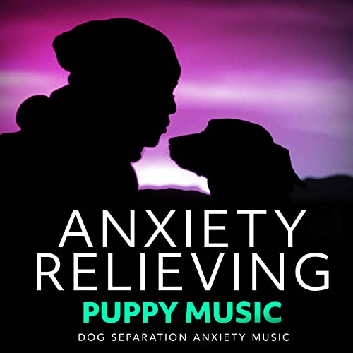 Play Anxiety Relieving Puppy Music by Dog Separation Anxiety Music on