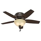 Hunter Newsome Indoor Low Profile Ceiling Fan with LED Light and Pull Chain Control, 42', Premier...