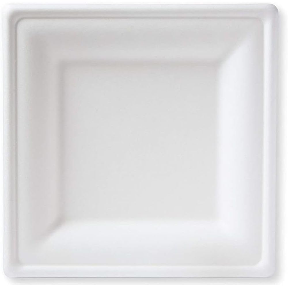 Generico Piatti di Carta Monouso di Canna da Zucchero Privi di Plastica, Piatti Compostabili e Biodegradabili, Alternativa Ecologica ai Piatti Plastica Usa e Getta, per Microonde (500 pezzi 16x16 cm)