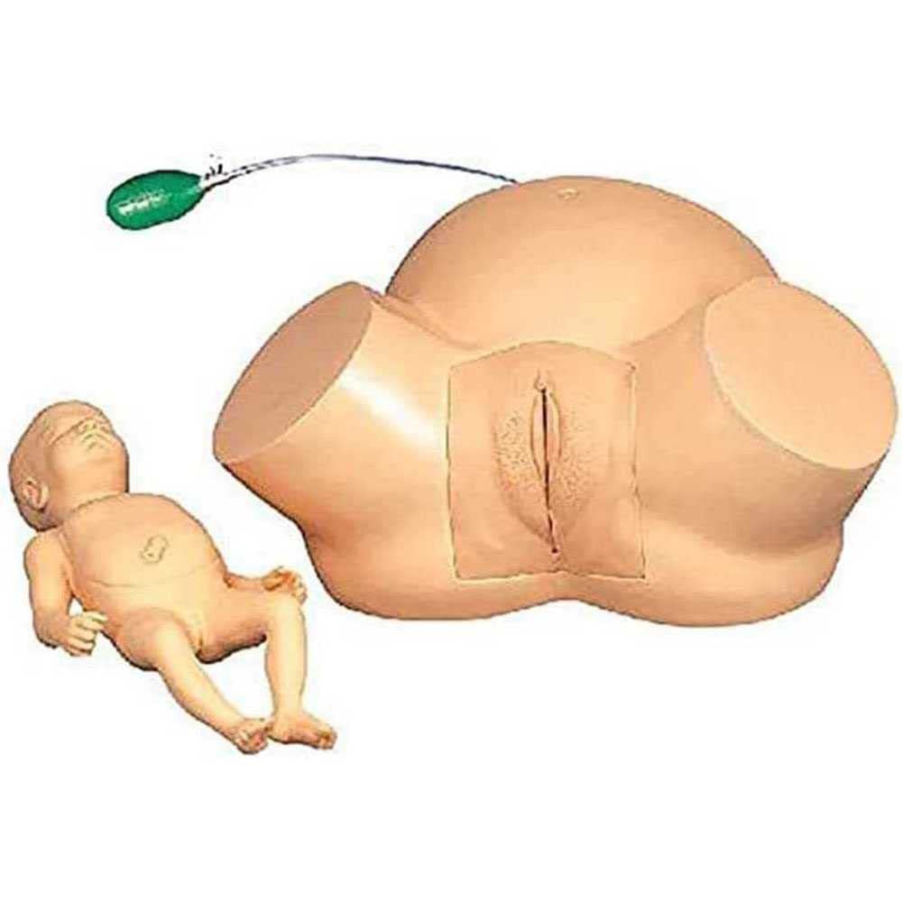 YNIYUJKL Anatomy Childbirth Simulator Manikin Advanced Midwiferymodel For Teaching Learning Display Tool