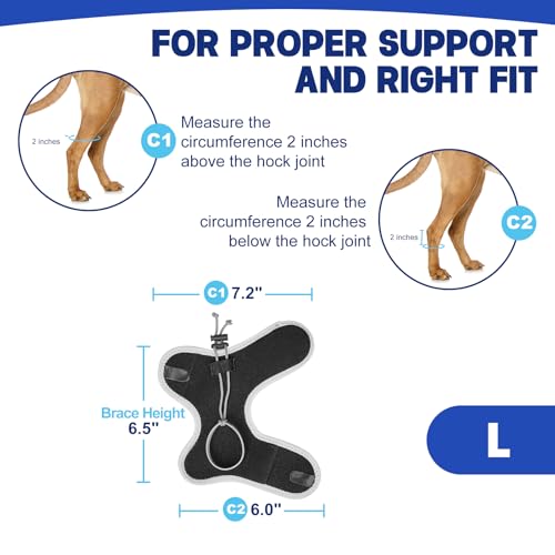 Image of Dog Knuckling Braces Wrap for Hyperflexion of Phalanges Cause by Sciatic Nerve Damage, Carpal Flexural Deformity - Dual Locking Straps for Safe Adjustable Toe Lift Support (Black, Large)