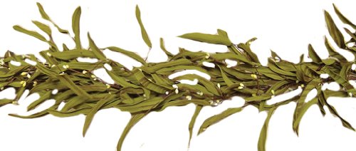 CWI-Gifts-Pips-and-Herb-Garland-4-Feet-Citron CWI Gifts Pips and Herb Garland 4 Feet Citron