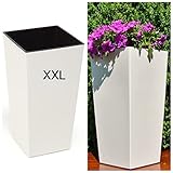 ✅ In modernem, eckigen Format und mit XXL Volumen | Glanzende Oberfläche | Stilvolles und edles Design.