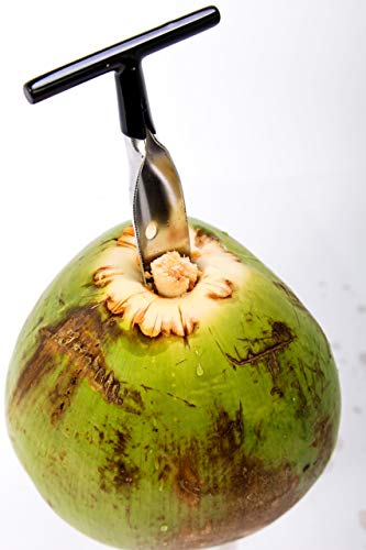 Coconut Opener Tool with Stainless Steel Straw - Image 9