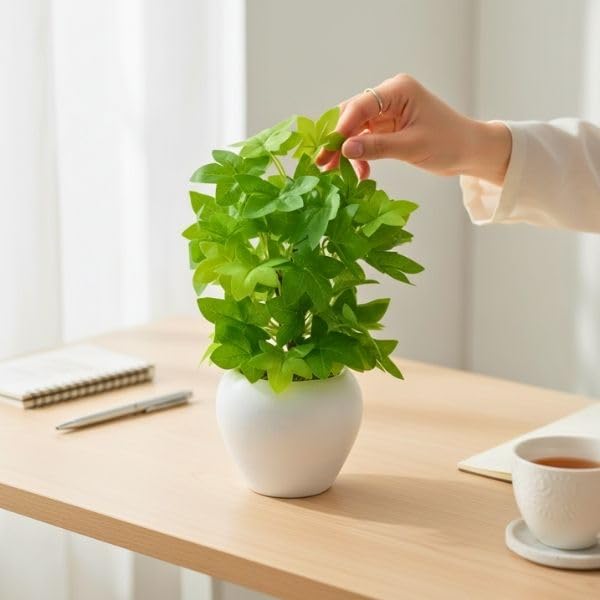 Image of fancymart Artificial Plant Leaves in Apple Pot (30 cm Height) | Small Potted Plant for Office Desk | Home Decor for Living Room | Cafe & Restaurant Table Decoration