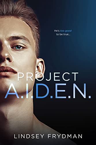 Project A.I.D.E.N. view 2