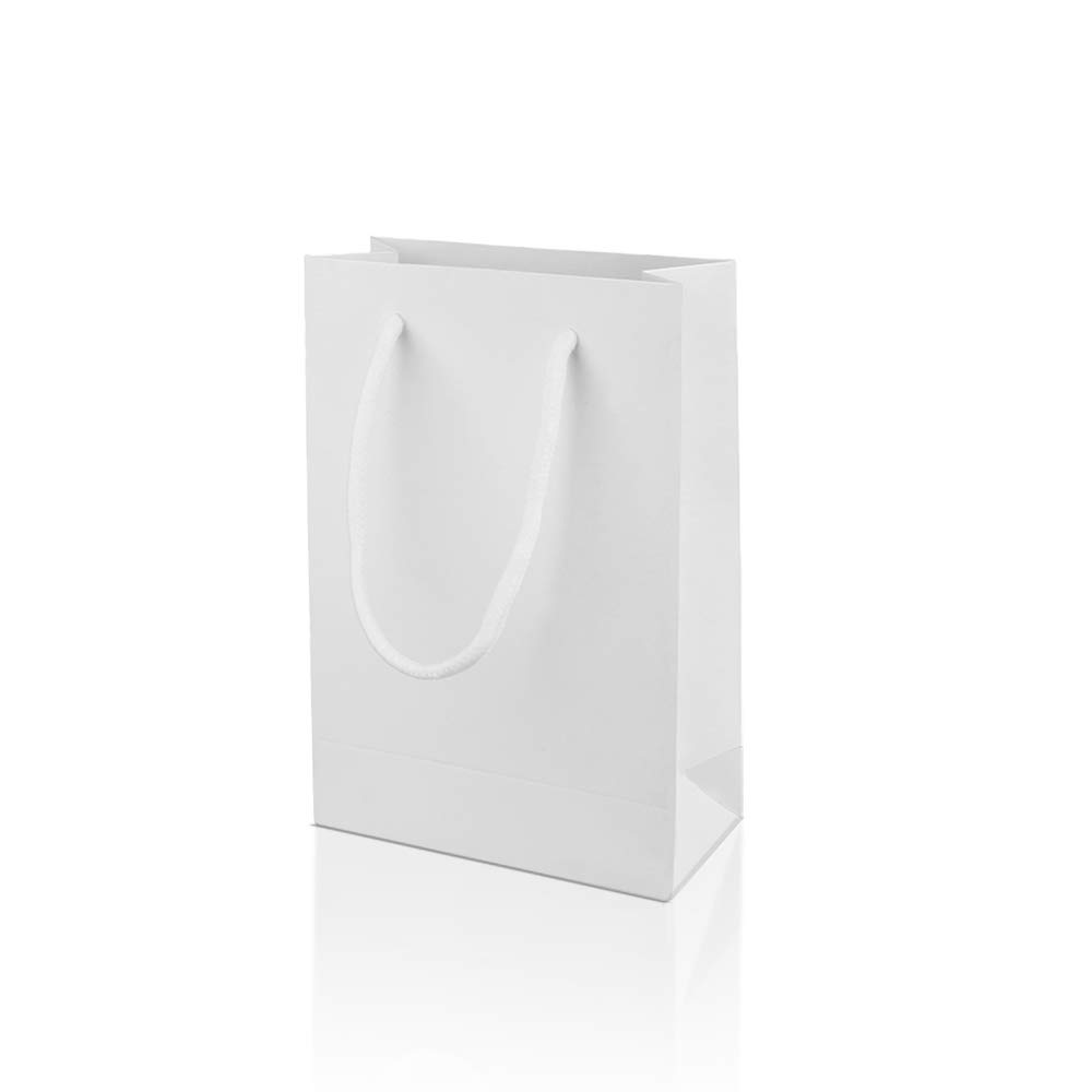 Paper Gift Bags with Handles, Yumin Kraft Paper Gift Bags for Small Gift  Bags Favor Party Bags Wedding Bag Environmental Paper Bag White, 10 PCS