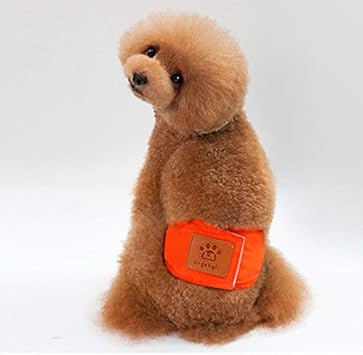 Amazon Co Jp Maniry 犬用 マナーベルト 生理パンツ 犬用 ドッグウェア マーキング対策 尿もれ オシッコ対策 ずれない 洗濯ok 室内 調節可能 室内 おでかけ ドライブ 雌 雄犬用 快適な腹巻き ペット用品