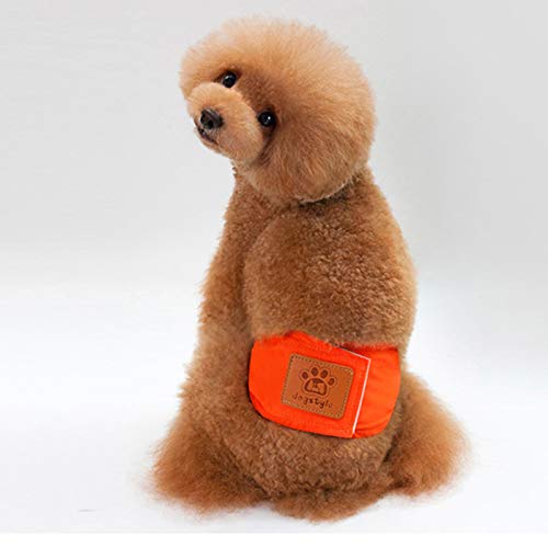 p }i[xg }i[oh IcJo[ hbOEFA ̕  }[LOh~ gC s Ic   V  点h Y p OK (M,IW)