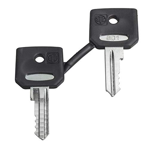 Cles 3131A en acier forge, jeu de 2 pieces de precision
