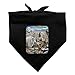Mount Rushmore National Memorial South Dakota SD Animals Mountain Goat Dog Pet Bandana