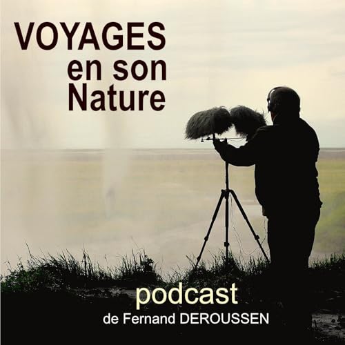 VOYAGES EN SON NATURE cover art