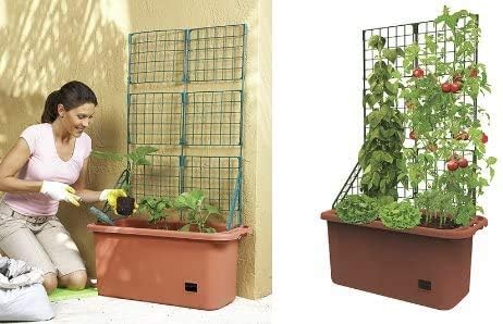 COLIBROX Mobile Garden Vegetable Patch Planter Pot & Trellis Climbing Vine Patio Tomato Veggies Herbs