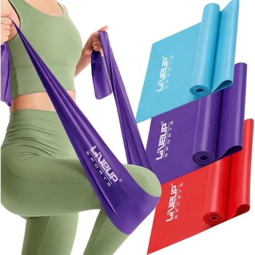 Faixas Elásticas de Resistência, Kit com 3 Intensidades: Leve, Mé...