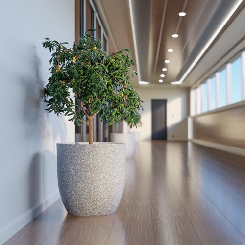 Naxyian OVA 12 Inch Round Italian Finish Polymer Planter Pot Durable & Lightweight Indoor Outdoor Plant Container for Home, Office, Garden, Balcony – Pot for Plants, Trees, Flowers