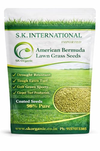 Image of Imported Bermuda Grass Seeds, American Variety, Fast Germination, Heat Resistant, Low Maintenance, Green Turf (400gms)