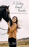 A Gelding Named Thunder: Book 1 of The Morning Star Stables series