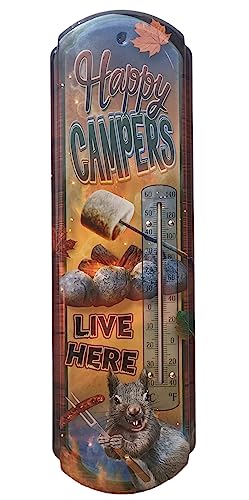 Thermometer Hanging Metal ~22 Gauge Metal Lithograph Print Measures 5