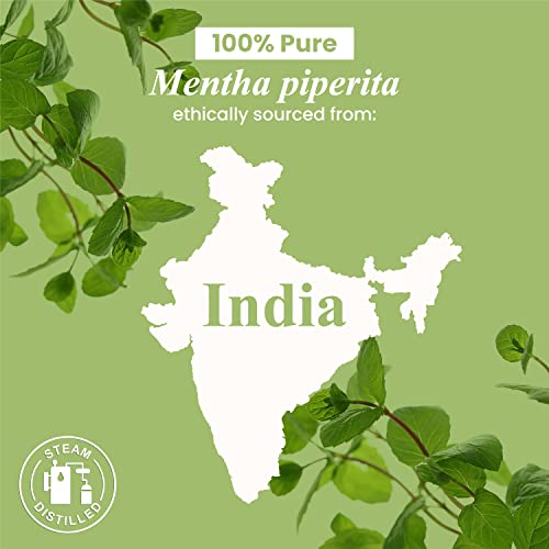 Handcraft Lavender Essential Oil And Peppermint Essential Oil Set – Huge 4 Fl. Oz – 100% Pure And Natural Essential Oils – Premium Therapeutic Grade With Premium Glass Dropper #TOP7