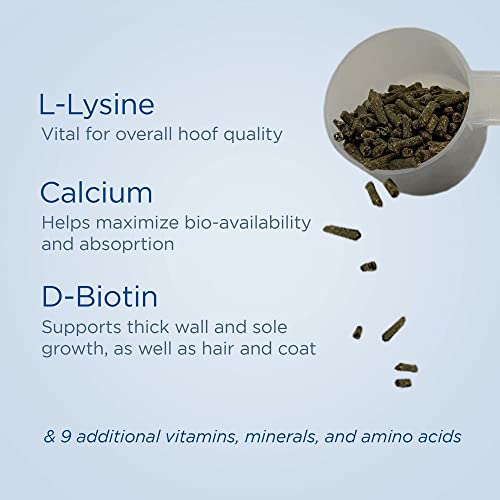 Formula 707 Hoof Health Equine Supplement 5Lb Bucket - 80 Servings – Biotin, Amino Acids, And Minerals To Improve And Support Healthy Horse Hooves #TOP1