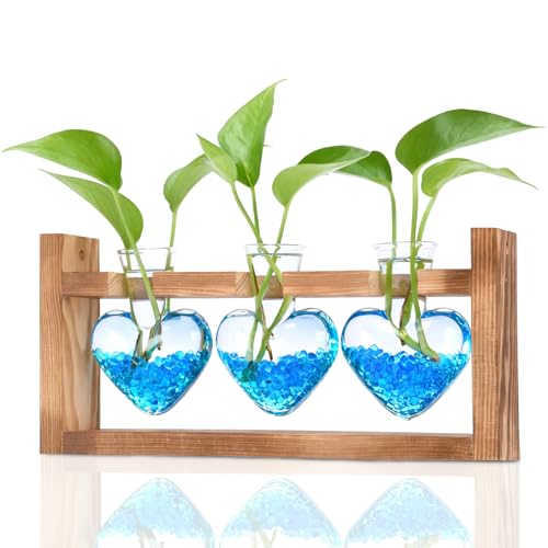 Nacome Plant Terrarium Propagation Stations: Valentines Day Gifts for Her