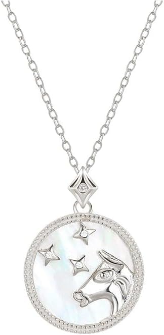 Collier douze constellations breloque cercle zircon le cadeau d'anniversaire astrologique idéal