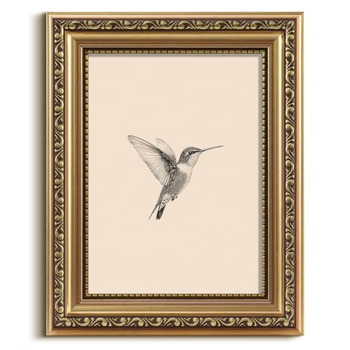 VIYYIEA Gold Framed Hummingbird Wall Art Vintage Canvas Painting, 8×10 Inch