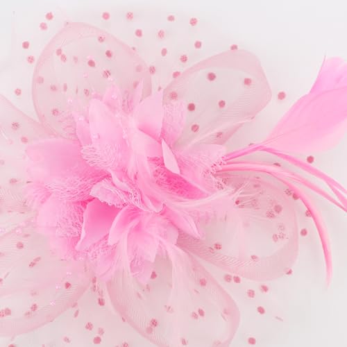 Image of DRESHOW Fascinators Hat Feather Headband Women's Fascinators Tea Party Headwear with Clip Flower Head Band for Girls & Women