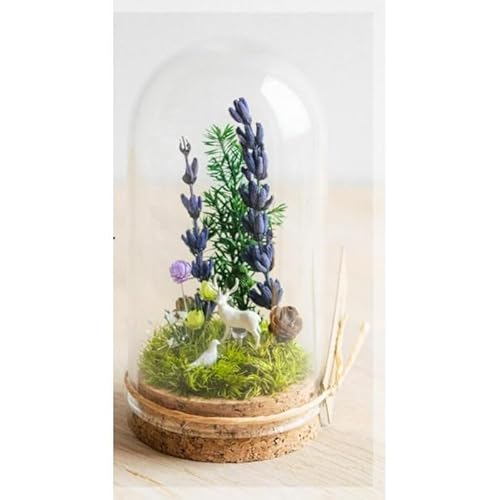 フォレストラベンダー_プチ・てのリウム [φ50mm][プリザーブド苔テラリウム]