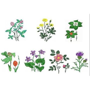 wildflower machine embroidery designs