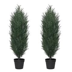 Dark Green Cedar Trees